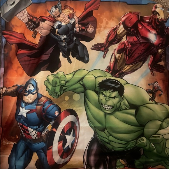 2 18x18 Pillow Cases with zipper - Picture 8 of 8